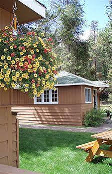 Bear Hill Lodge Jasper